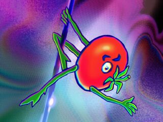 My Little Tomato by Rick Tae